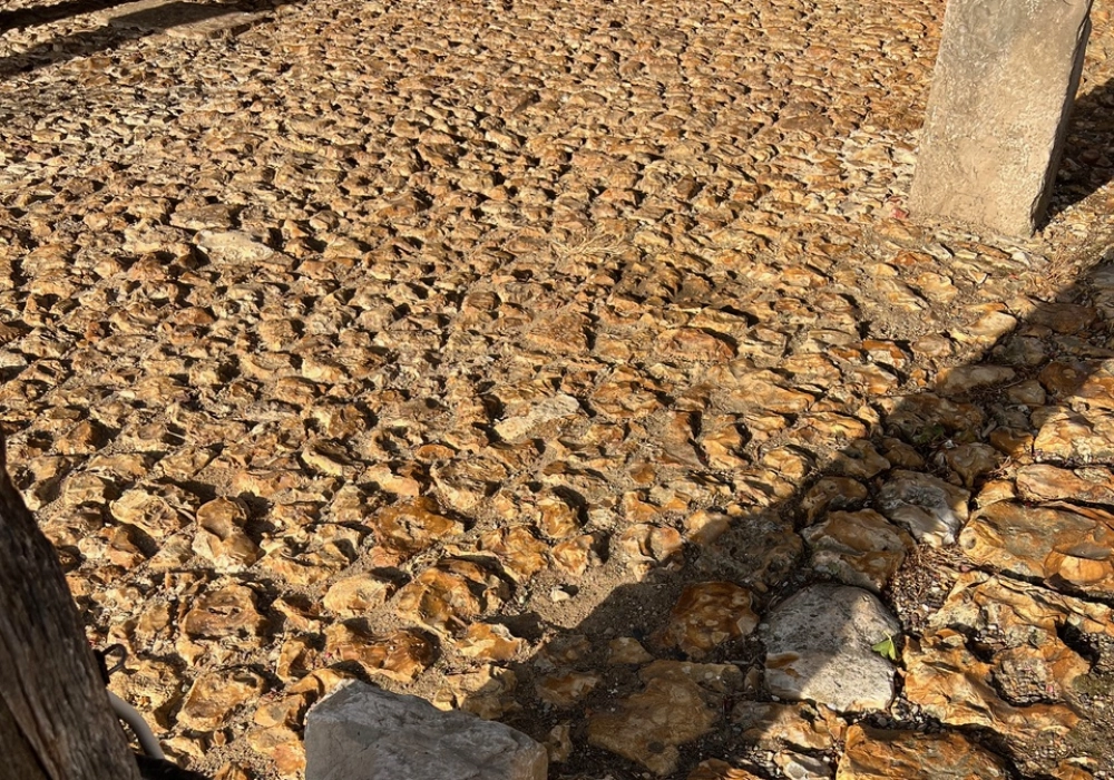 Calade pierre Vitot (27)